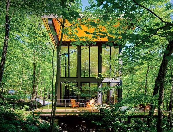 inspirasi-rumah-modern-di-tengah-hutan